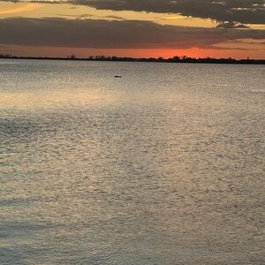 Meet your Posher, Lindy